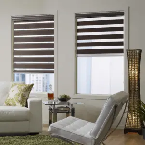 Modern Blackout Zebra and Dual blinds showcasing adjustable sheer and solid fabric horizontal bands